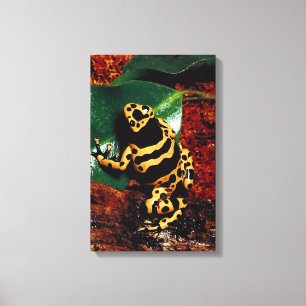 23898189 CANVAS AFDRUK