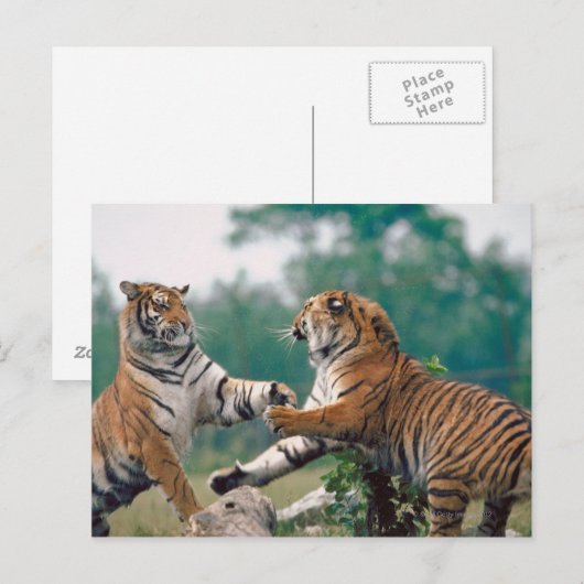 23899157 BRIEFKAART (Voorkant / Achterkant)