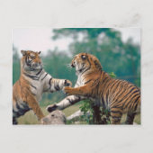 23899157 BRIEFKAART (Voorkant)