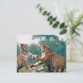 23899157 BRIEFKAART (Staand voorkant)