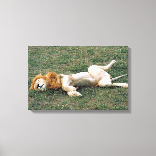 23899172 CANVAS AFDRUK (Voorkant)