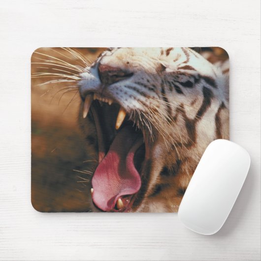 23899234 MUISMAT (Met muis)