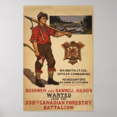 238e Canadese veldbataljon 1915 Poster (Voorkant)