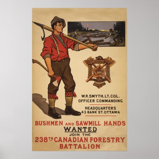 238e Canadese veldbataljon 1915 Poster (Voorkant)