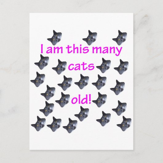 23 Kattenkoppen Oud Briefkaart (Voorkant)