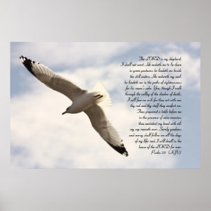 23e Psalm Biblical Verse met Soaring Zee Gull Poster