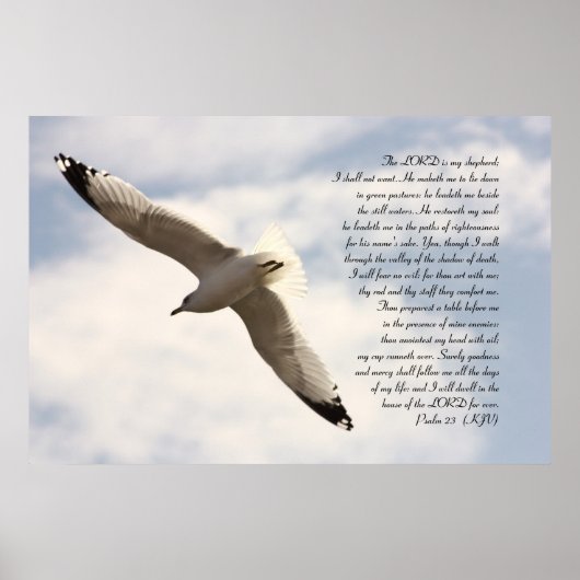 23e Psalm Biblical Verse met Soaring Zee Gull Poster (Voorkant)