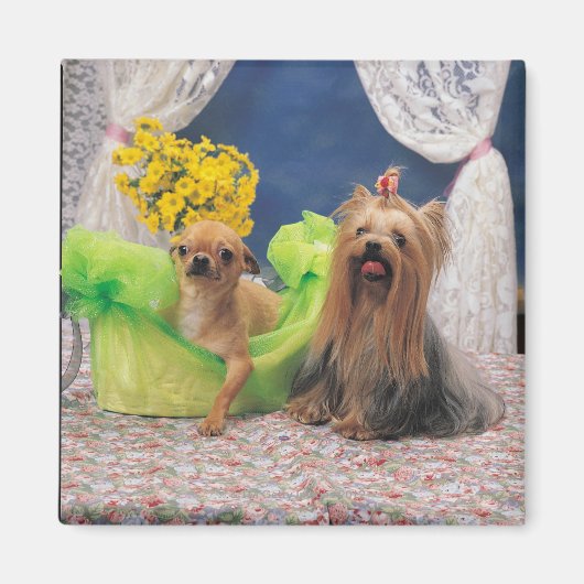 24095240 MAGNEET (Voorkant)