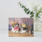 24095243 BRIEFKAART (Staand voorkant)