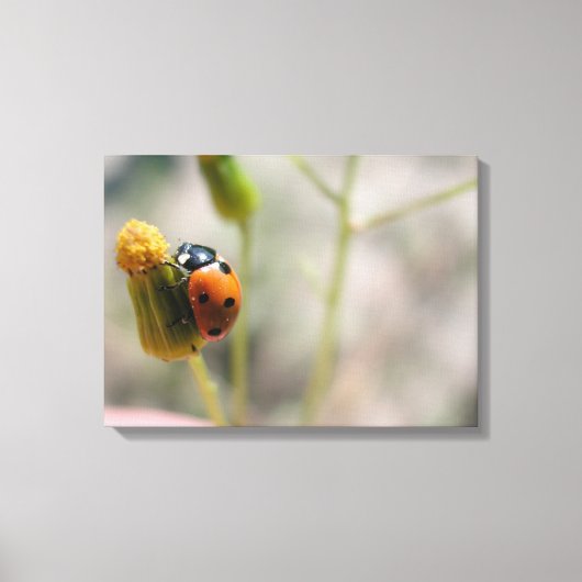 24102385 CANVAS AFDRUK (Voorkant)