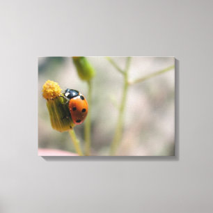 24102385 CANVAS AFDRUK