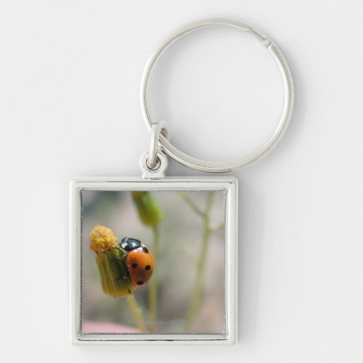 24102385 SLEUTELHANGER (Voorkant)