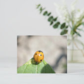 24102386 BRIEFKAART (Staand voorkant)
