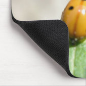 24102386 MUISMAT (Hoek)