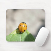 24102386 MUISMAT (Met muis)