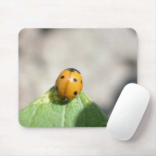 24102386 MUISMAT (Met muis)