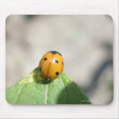 24102386 MUISMAT (Voorkant)