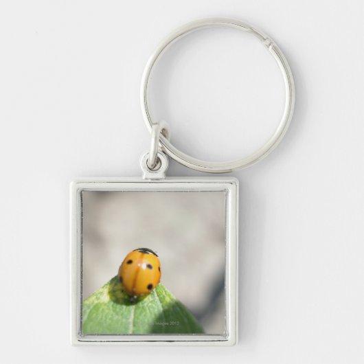 24102386 SLEUTELHANGER (Voorkant)