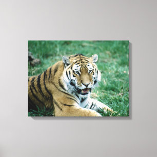 24103189 CANVAS AFDRUK