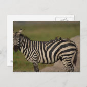 24109277 BRIEFKAART (Voorkant / Achterkant)