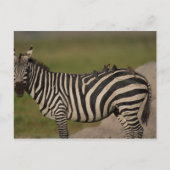 24109277 BRIEFKAART (Voorkant)