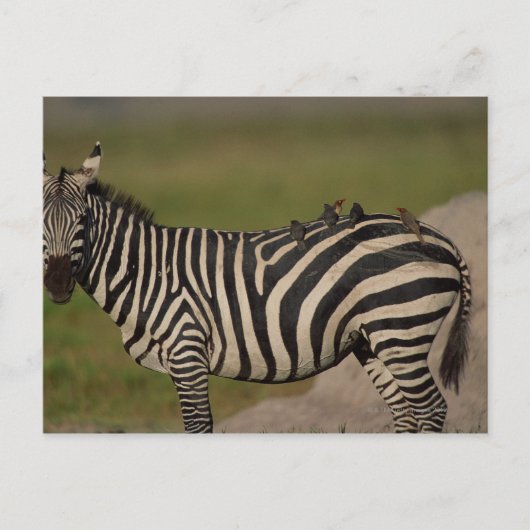 24109277 BRIEFKAART (Voorkant)