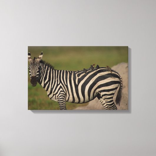 24109277 CANVAS AFDRUK (Voorkant)