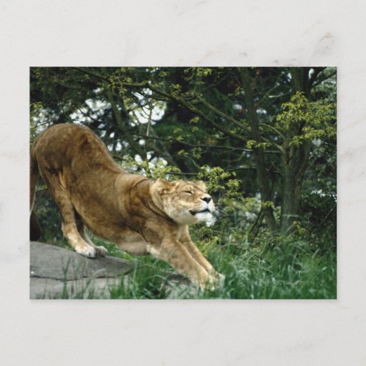 24114343 BRIEFKAART (Voorkant)