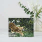 24114343 BRIEFKAART (Staand voorkant)