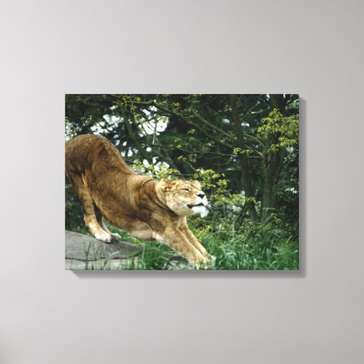 24114343 CANVAS AFDRUK (Voorkant)