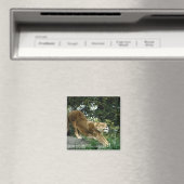 24114343 MAGNEET (Insitu (Vaatwasser))