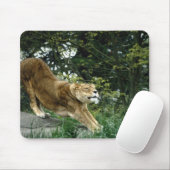 24114343 MUISMAT (Met muis)