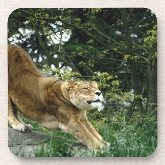 24114343 ONDERZETTER (Voorkant)