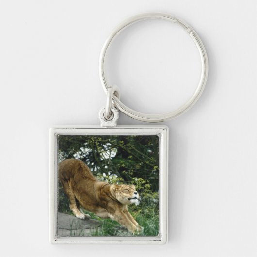 24114343 SLEUTELHANGER (Voorkant)