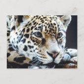 24114363 BRIEFKAART (Voorkant)