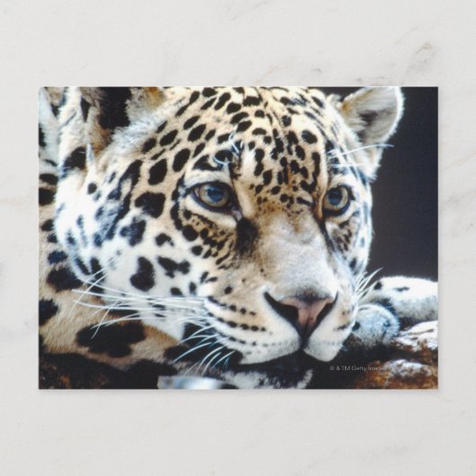 24114363 BRIEFKAART (Voorkant)