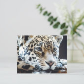 24114363 BRIEFKAART (Staand voorkant)