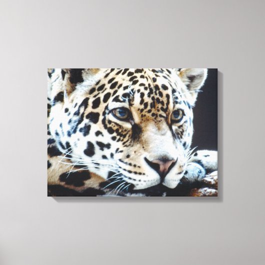 24114363 CANVAS AFDRUK (Voorkant)