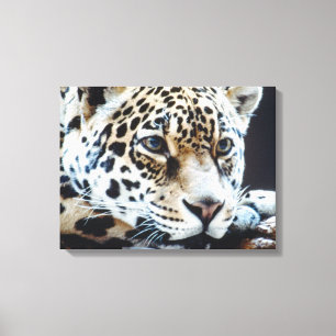 24114363 CANVAS AFDRUK