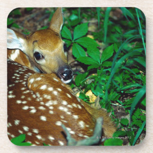 24114390 DRANKJES ONDERZETTER