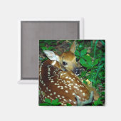 24114390 MAGNEET (Voorkant / Achterkant)