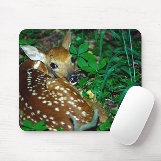 24114390 MUISMAT (Met muis)