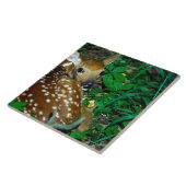 24114390 TEGELTJE (Zijkant)