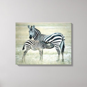 24114480 CANVAS AFDRUK