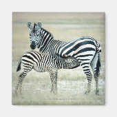 24114480 MAGNEET (Voorkant)