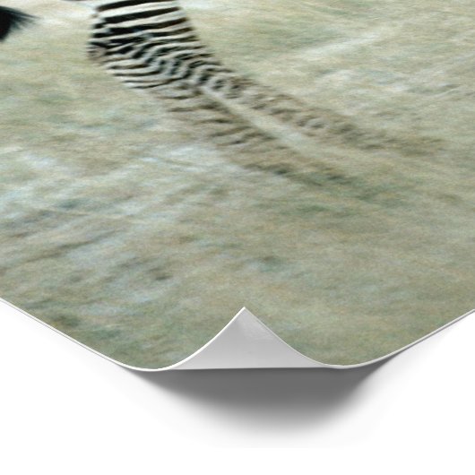 24114480 POSTER (Hoek)