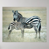 24114480 POSTER (Voorkant)