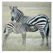 24114480 TEGELTJE (Voorkant)