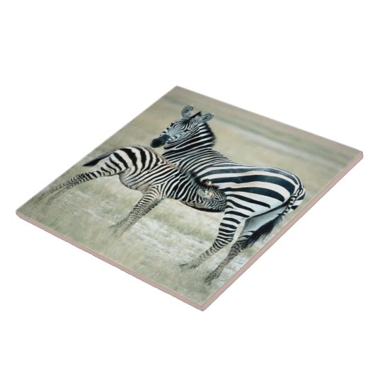 24114480 TEGELTJE (Zijkant)