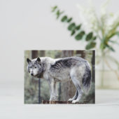 24114488 BRIEFKAART (Staand voorkant)